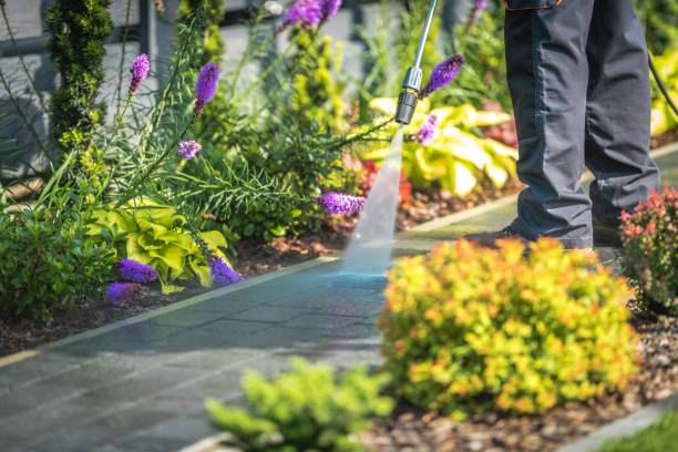 Best Gutter Cleaning  in Valley Cottage, NY